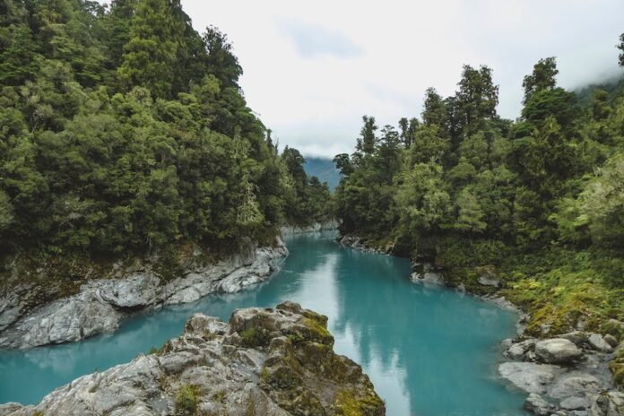 New-Zealand-Streamlined-Visa-Process-for-Permanent-Residency-and-Working-Holidays-GlobeMigrant