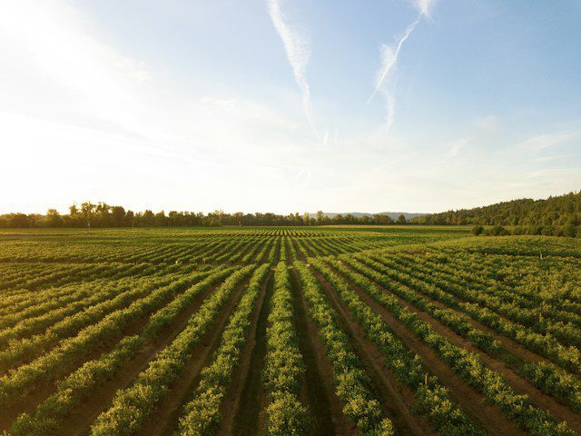 The Coos-Curry County Farm Bureau scholarship