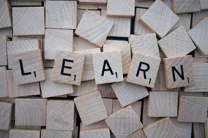 Top 9 International Study Programs Abroad for Learning in 2024-GlobeMigrant2